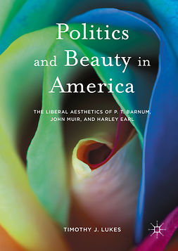 Lukes, Timothy J. - Politics and Beauty in America, e-bok