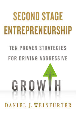 Weinfurter, Daniel J. - Second Stage Entrepreneurship, ebook