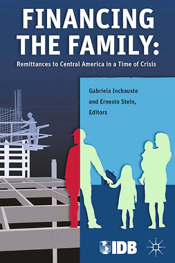 Inchauste, Gabriela - Financing the Family, ebook
