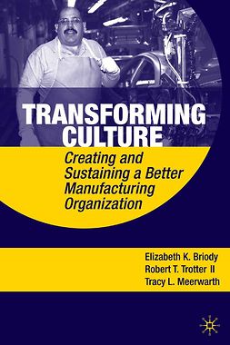 Briody, Elizabeth K. - Transforming Culture, ebook