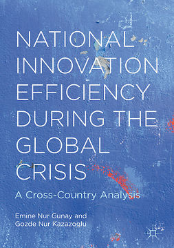 Gunay, Emine Nur - National Innovation Efficiency During the Global Crisis, e-bok