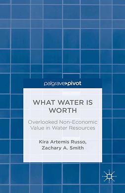 Russo, Kira Artemis - What Water Is Worth: Overlooked Non-Economic Value in Water Resources, ebook