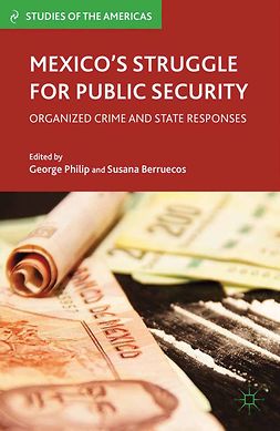 Berruecos, Susana - Mexico’s Struggle for Public Security, e-bok