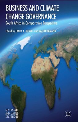 Börzel, Tanja - Business and Climate Change Governance, ebook