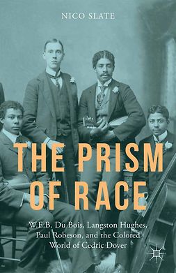 Slate, Nico - The Prism of Race, ebook