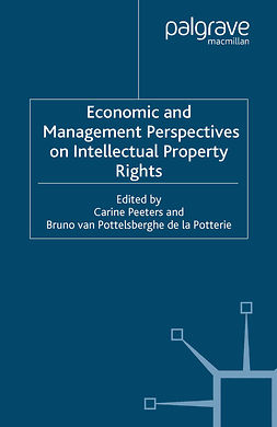Peeters, Carine - Economic and Management Perspectives on Intellectual Property Rights, ebook