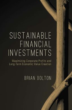 Bolton, Brian - Sustainable Financial Investments, ebook