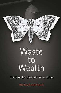 Lacy, Peter - Waste to Wealth, e-bok