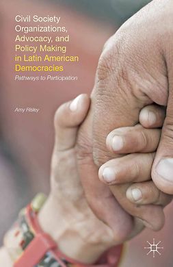 Risley, Amy - Civil Society Organizations, Advocacy, and Policy Making in Latin American Democracies, e-kirja