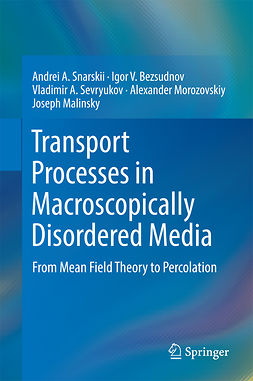 Bezsudnov, Igor V. - Transport Processes in Macroscopically Disordered Media, ebook