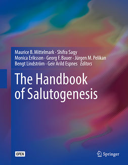 Bauer, Georg F. - The Handbook of Salutogenesis, e-kirja