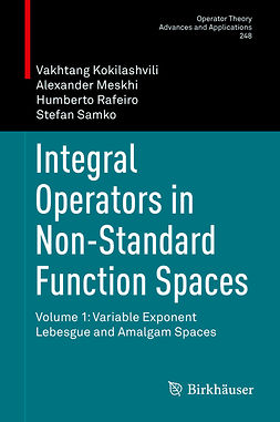 Kokilashvili, Vakhtang - Integral Operators in Non-Standard Function Spaces, e-bok