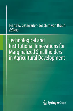 Braun, Joachim von - Technological and Institutional Innovations for Marginalized Smallholders in Agricultural Development, e-kirja
