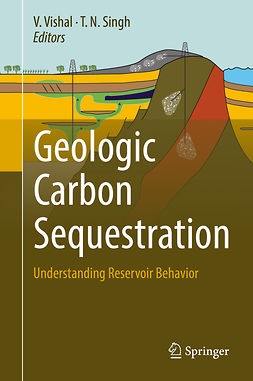 Singh, T.N. - Geologic Carbon Sequestration, e-kirja