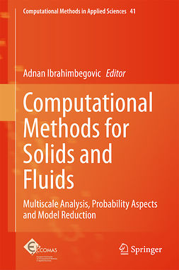 Ibrahimbegovic, Adnan - Computational Methods for Solids and Fluids, ebook