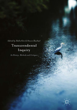 Hoeltzel, Steven - Transcendental Inquiry, ebook