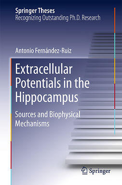 Ruiz, Antonio Fernández - Extracellular Potentials in the Hippocampus, ebook