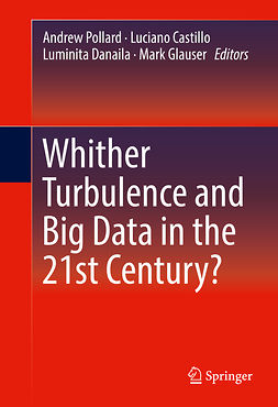 Castillo, Luciano - Whither Turbulence and Big Data in the 21st Century?, ebook