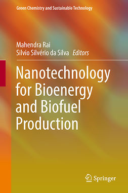 Rai, Mahendra - Nanotechnology for Bioenergy and Biofuel Production, e-bok