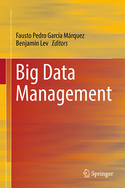 Lev, Benjamin - Big Data Management, e-kirja