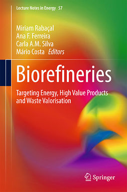 Costa, Mário - Biorefineries, ebook