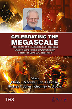 Brooks, Geoffrey A. - Celebrating the Megascale, e-bok