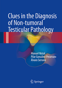 González-Peramato, Pilar - Clues in the Diagnosis of Non-tumoral Testicular Pathology, e-bok