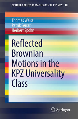 Ferrari, Patrik - Reflected Brownian Motions in the KPZ Universality Class, ebook