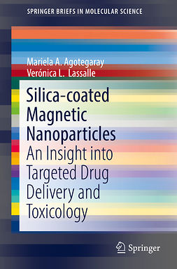 Agotegaray, Mariela A. - Silica-coated Magnetic Nanoparticles, ebook