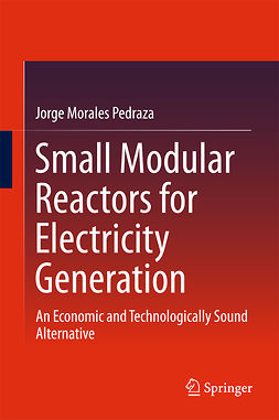 Pedraza, Jorge Morales - Small Modular Reactors for Electricity Generation, ebook