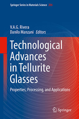 Manzani, Danilo - Technological Advances in Tellurite Glasses, e-kirja