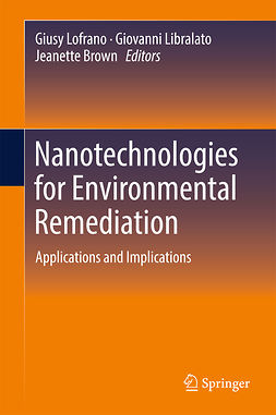 Brown, Jeanette - Nanotechnologies for Environmental Remediation, ebook