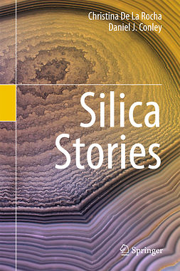 Conley, Daniel J. - Silica Stories, ebook