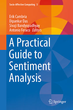 Bandyopadhyay, Sivaji - A Practical Guide to Sentiment Analysis, e-kirja