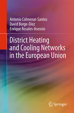 Borge-Díez, David - District Heating and Cooling Networks in the European Union, ebook