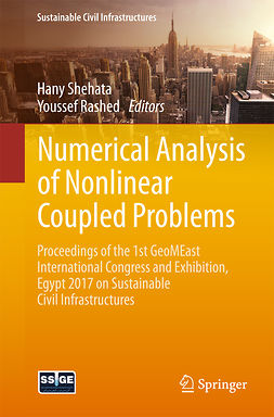 Rashed, Youssef - Numerical Analysis of Nonlinear Coupled Problems, ebook