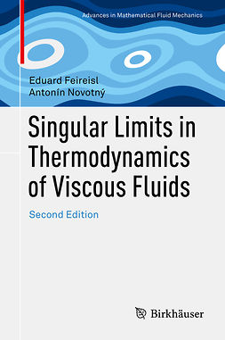 Feireisl, Eduard - Singular Limits in Thermodynamics of Viscous Fluids, e-kirja