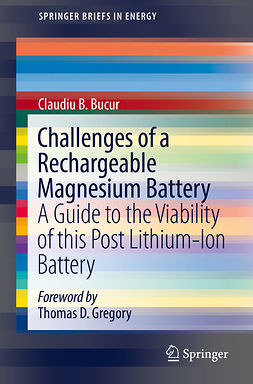 Bucur, Claudiu B. - Challenges of a Rechargeable Magnesium Battery, e-kirja