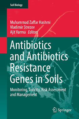 Hashmi, Muhammad Zaffar - Antibiotics and Antibiotics Resistance Genes in Soils, e-kirja
