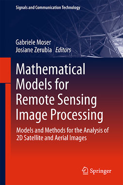 Moser, Gabriele - Mathematical Models for Remote Sensing Image Processing, e-kirja