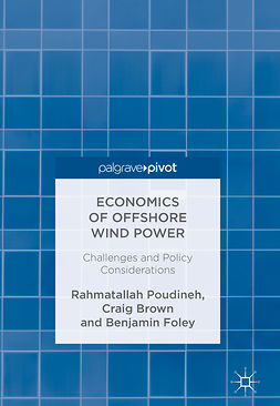 Brown, Craig - Economics of Offshore Wind Power, ebook