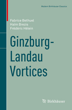 Bethuel, Fabrice - Ginzburg-Landau Vortices, e-kirja