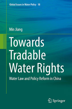 Jiang, Min - Towards Tradable Water Rights, e-kirja