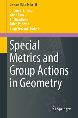 Chiossi, Simon G. - Special Metrics and Group Actions in Geometry, ebook
