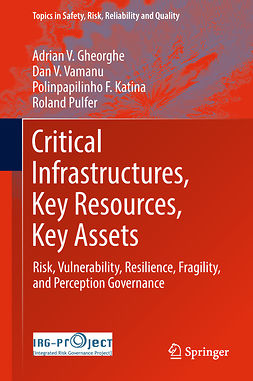 Gheorghe, Adrian V. - Critical Infrastructures, Key Resources, Key Assets, e-kirja