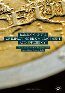 Colombini, Fabiano - Raising Capital or Improving Risk Management and Efficiency?, ebook