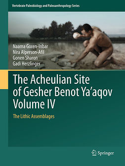Alperson-Afil, Nira - The Acheulian Site of Gesher Benot Ya‘aqov Volume IV, e-bok
