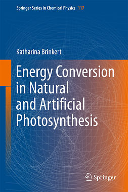 Brinkert, Katharina - Energy Conversion in Natural and Artificial Photosynthesis, ebook