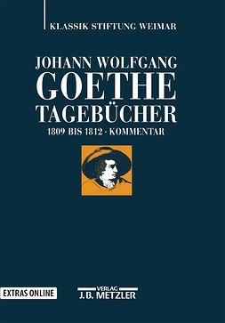 Albrecht, Wolfgang - Johann Wolfgang Goethe Tagebücher, e-bok