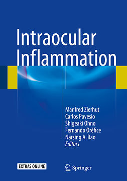 Ohno, Shigeaki - Intraocular Inflammation, ebook